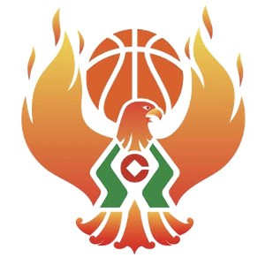 https://img.ahhhdl.com/img/basketball/team/09b49d34027e0409a4de3295f8c71a2d.png