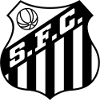 https://img.ahhhdl.com/img/football/team/674171a5ca8e8fd3a9784bec35afb185.png