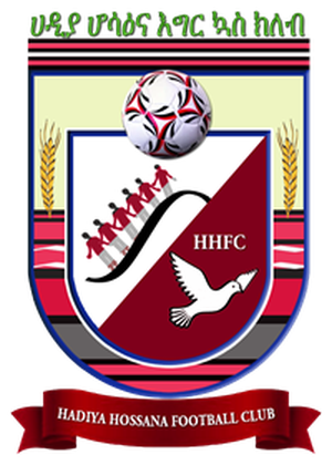 https://img.ahhhdl.com/img/football/team/6b722ac8d4b936380432e7a58ef41b4e.png