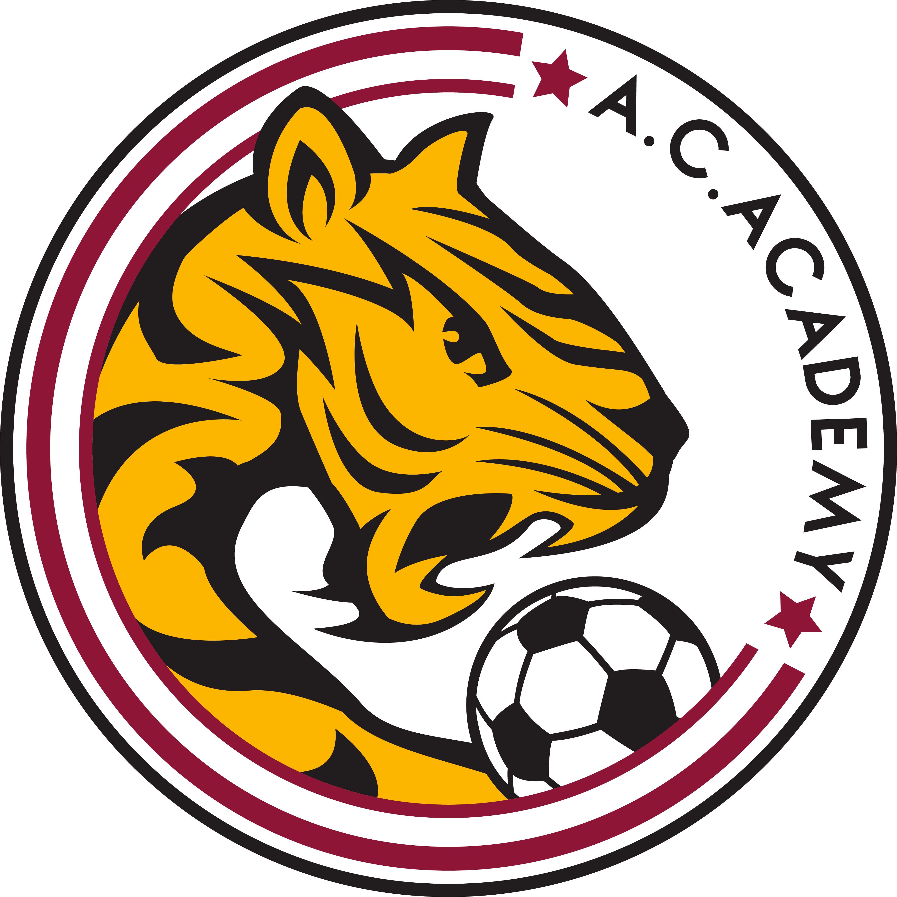 https://img.ahhhdl.com/img/football/team/9e5b1ea3c901a469cfde86121c1adefe.png