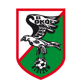 https://img.ahhhdl.com/img/football/team/e6a8908dd206e2ea02d9803c82c60bba.png